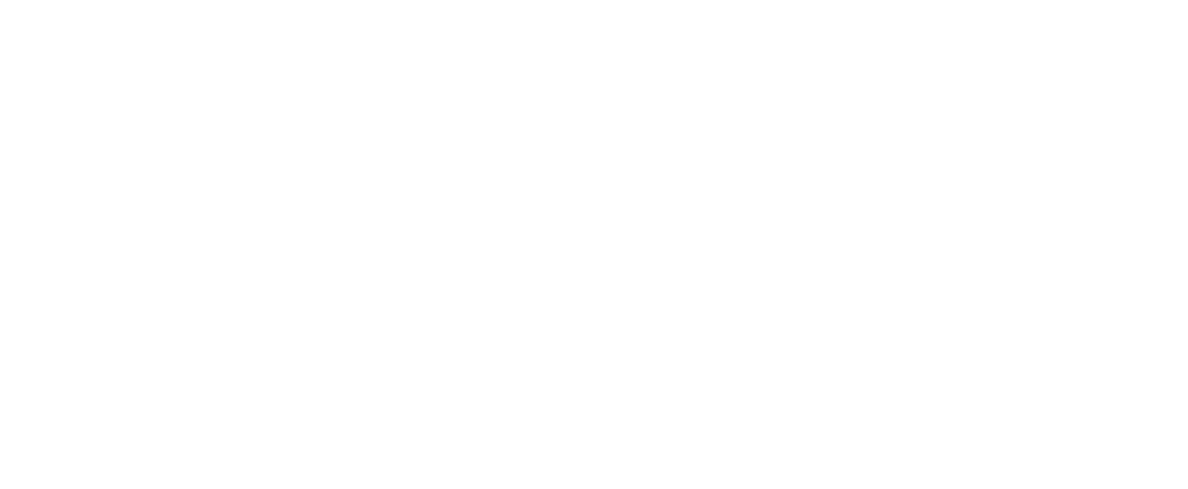 Sak Pub Craft Beer & Bites